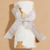 Teddy Bear Swaddle