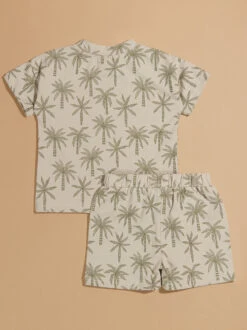 Beach Palms Tee And Shorts Set -Toddler Clothing Store 004136 TSPALM24 GREY 01