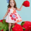 Daisy Dress And Bloomer Set